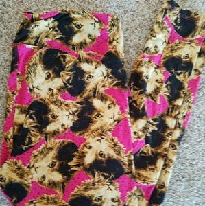 Brand new Lularoe TC Cat leggings